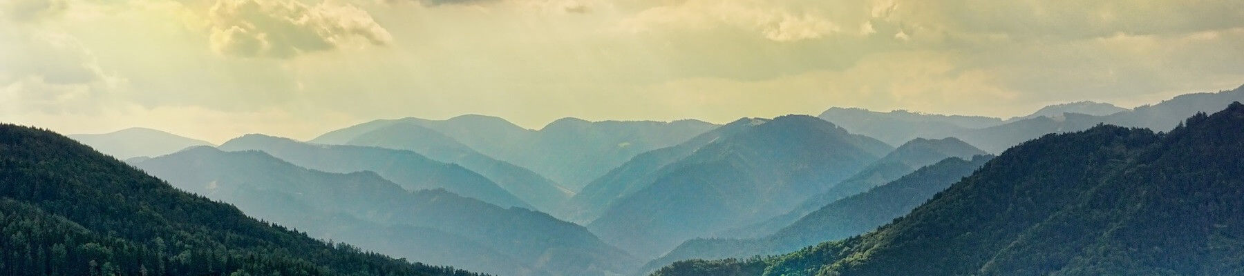 site image