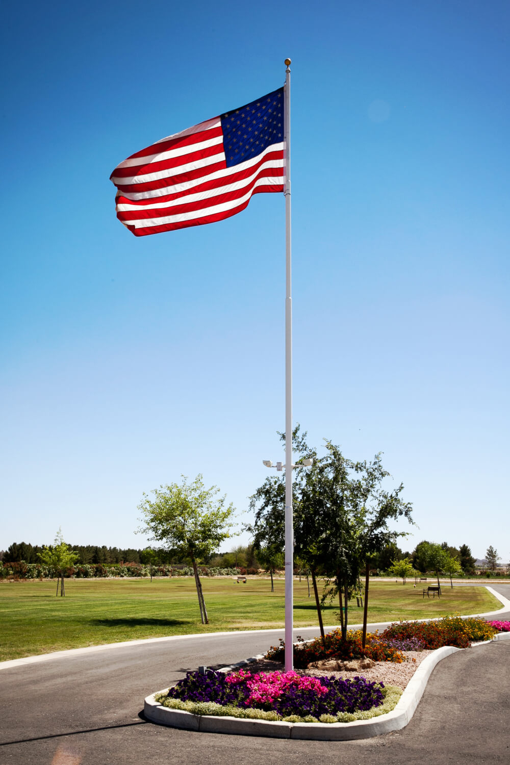 site image