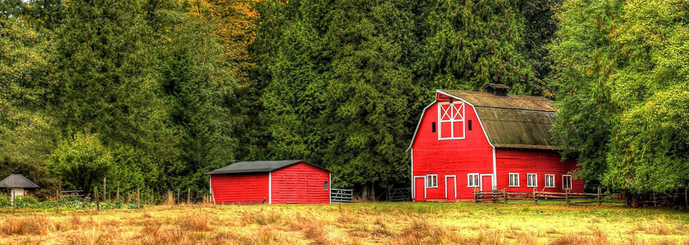 Schinderle Funeral Home & Cremation Services, LLC Algoma, WI Funeral