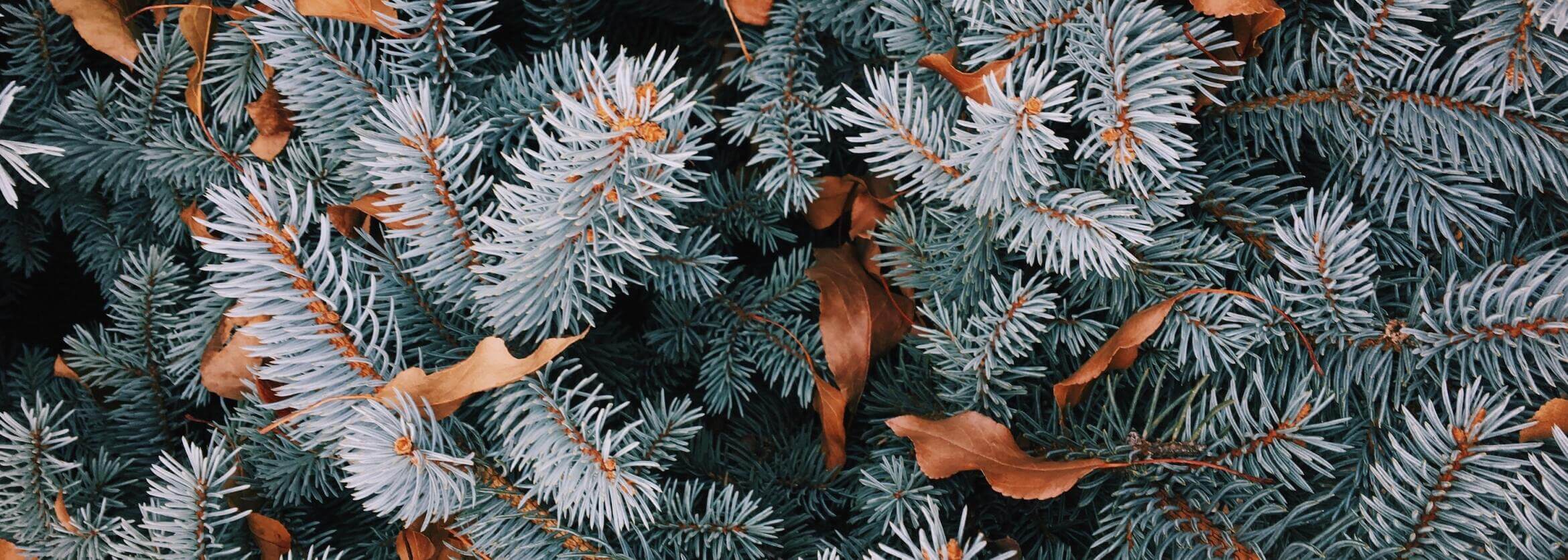 Spear Miller Funeral Home Fairfield CT funeral home and cremation