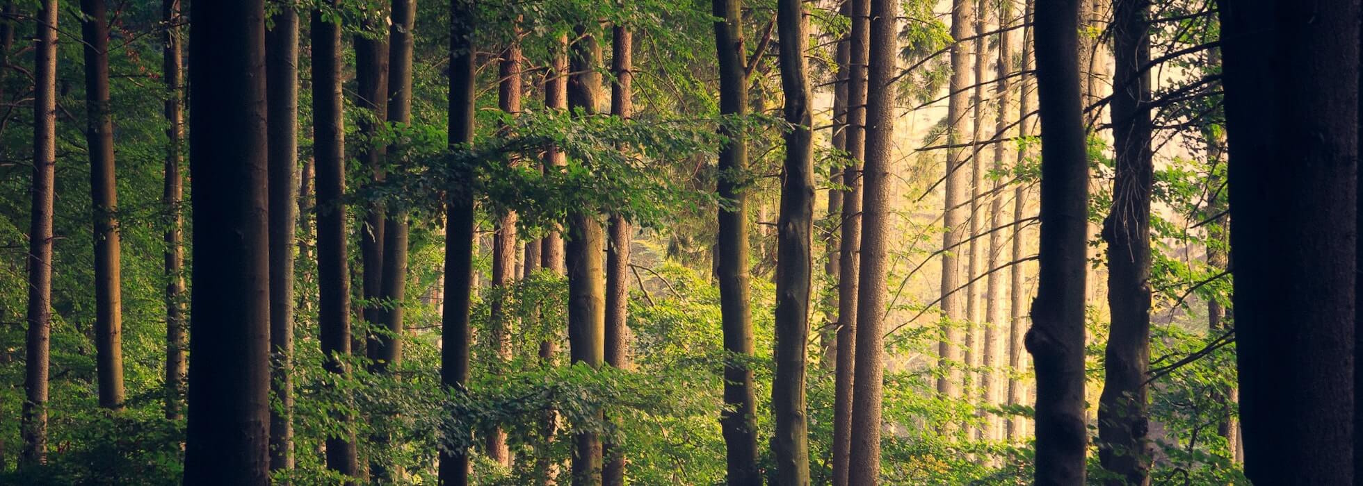 Spear Miller Funeral Home Fairfield CT funeral home and cremation