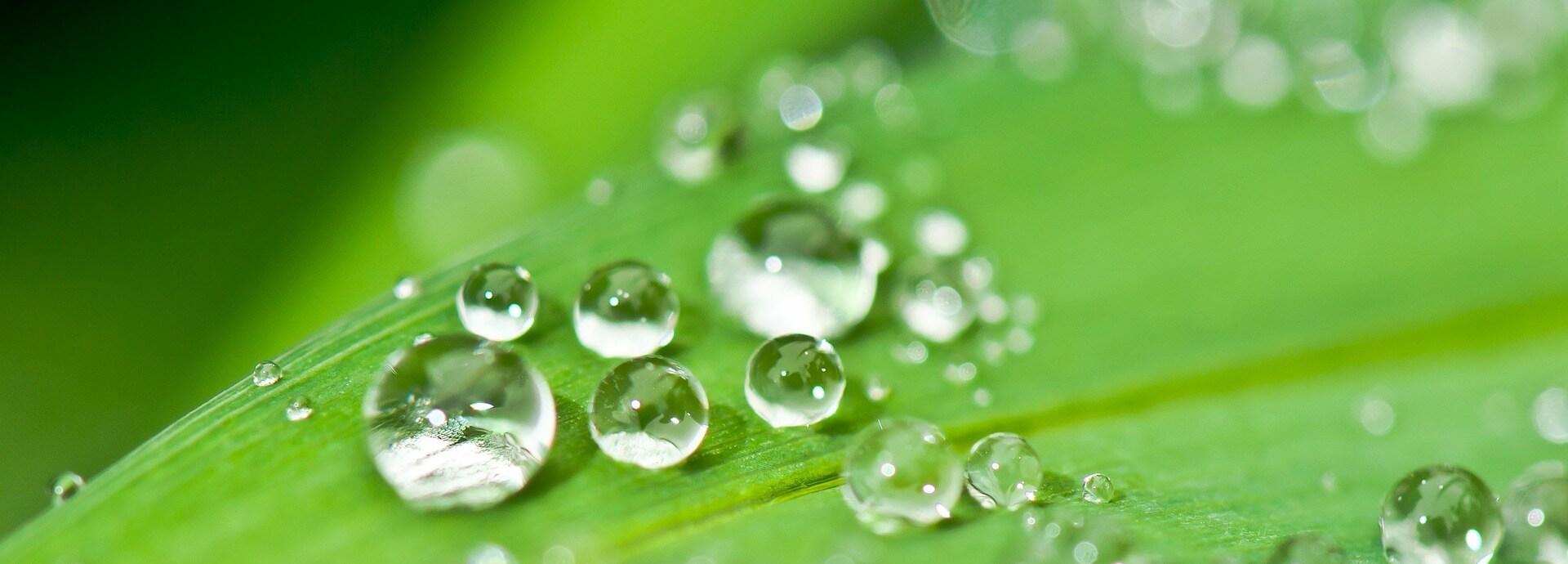 WaterBased Cremation