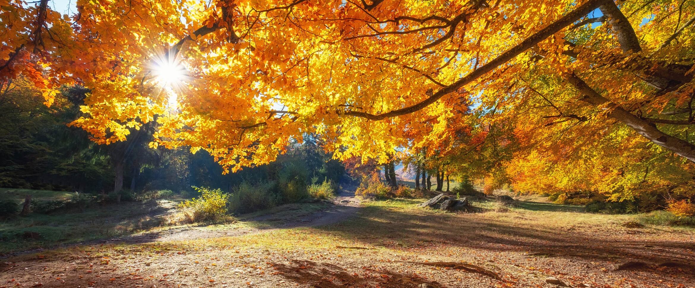 SeamonWilsey Funeral Home, Inc. Saugerties NY funeral home and cremation