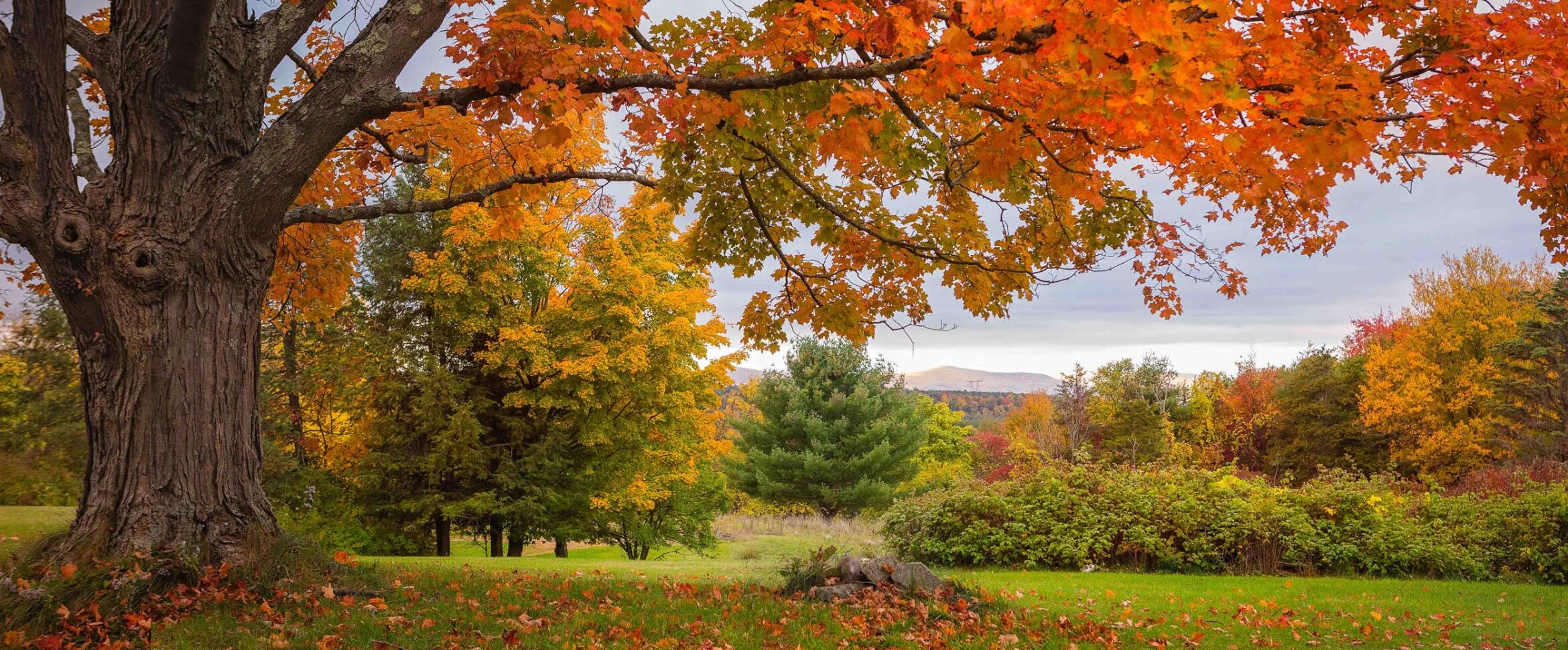 SeamonWilsey Funeral Home, Inc. Saugerties NY funeral home and cremation