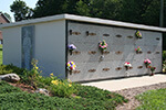 site image