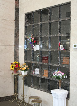 site image