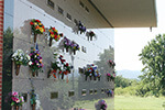 site image