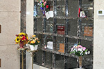 site image