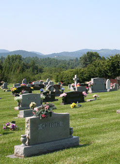 site image