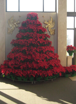 site image