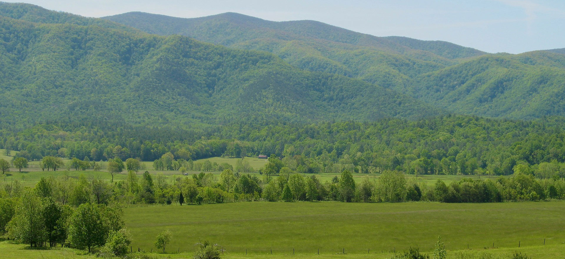 Selmer Mortuary Selmer TN funeral home and cremation