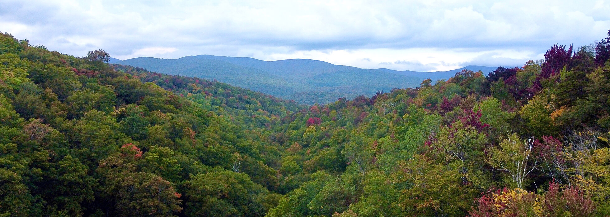 Vermont Forest Cemetery & Cremations Roxbury, VT
