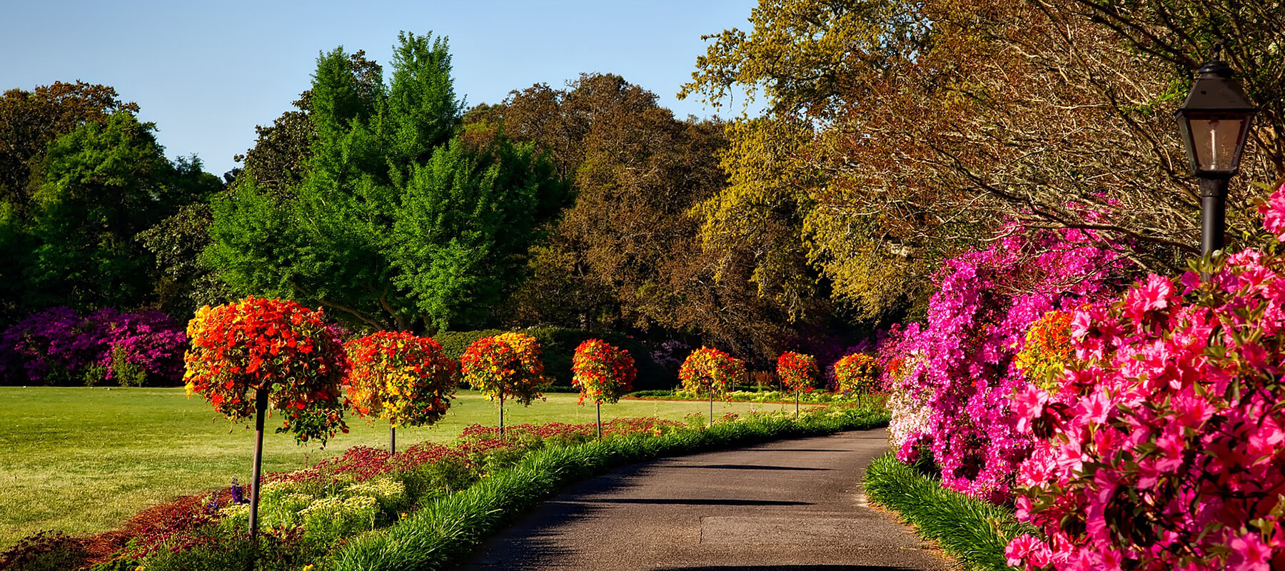 The Good Shepherd Funeral Home Inc. Montevallo AL funeral home and