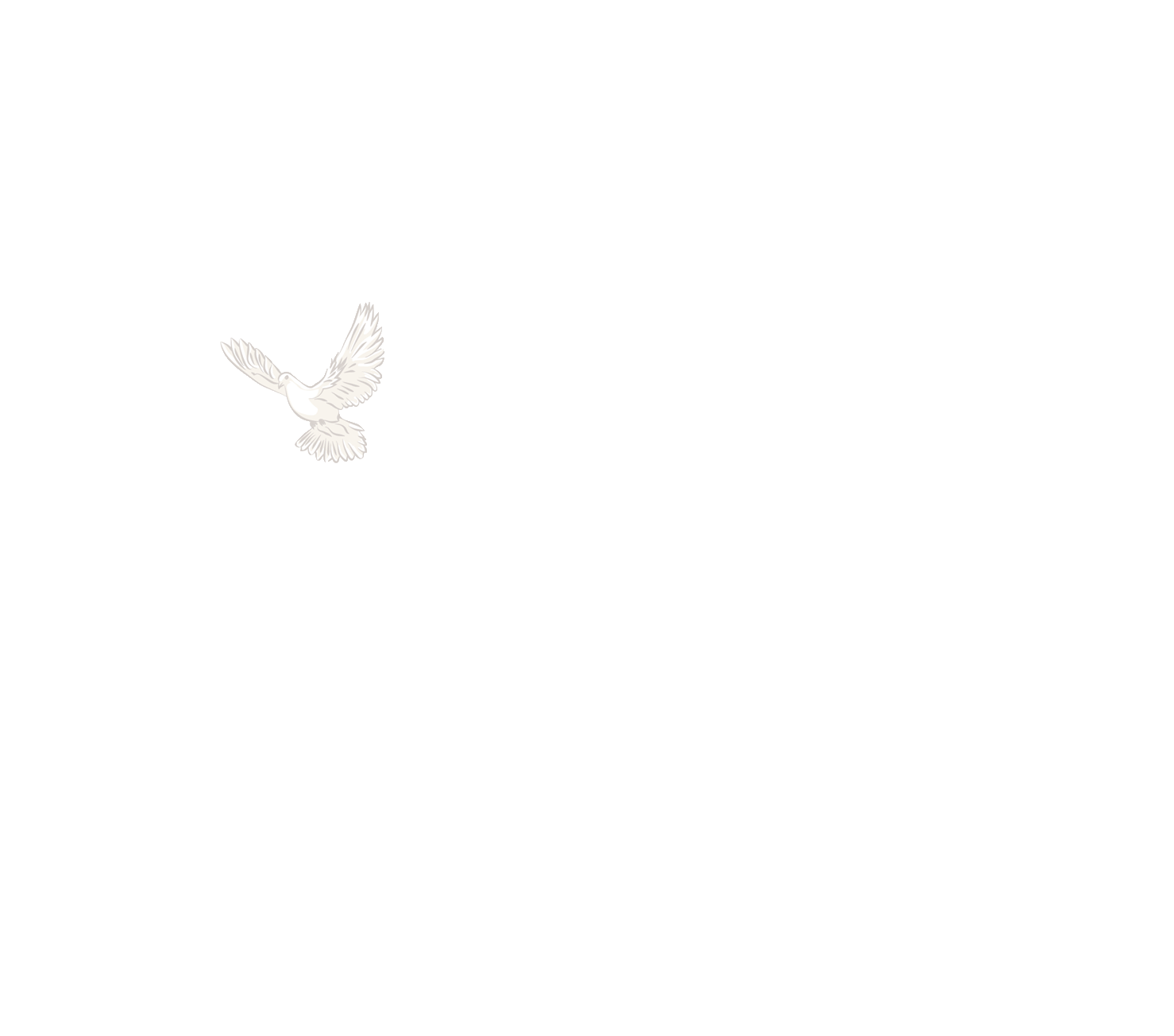 Timeless Funeral Home DeWitt AR funeral home and cremation