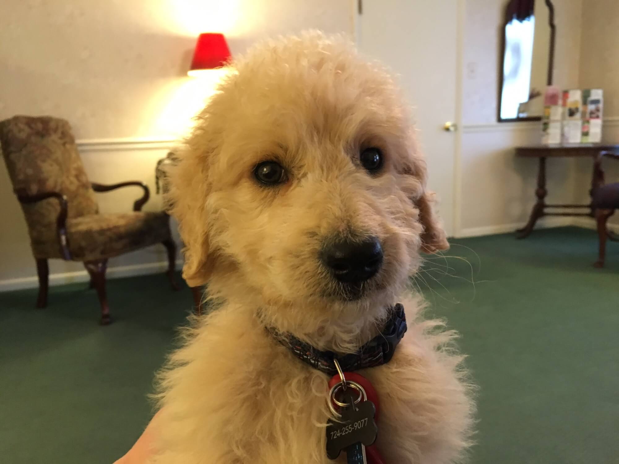 ThompsonMarodi Funeral Home, Inc. Bentleyville PA funeral home and