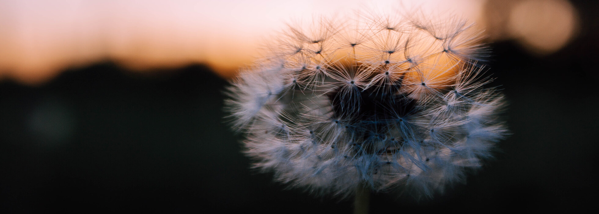 Volzke Funeral Home Seward NE funeral home and cremation