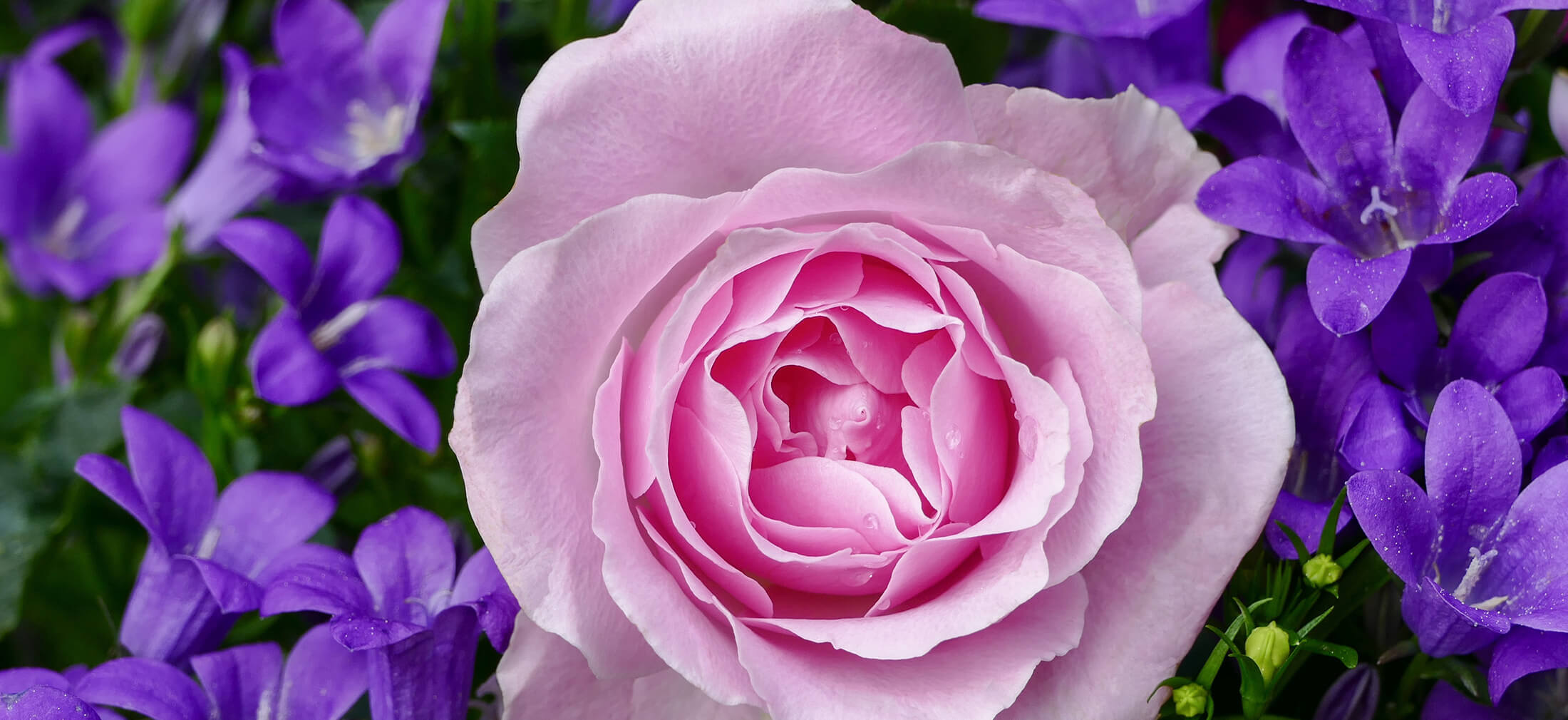 Valley Ridge Mortuary Tuba City AZ funeral home and cremation