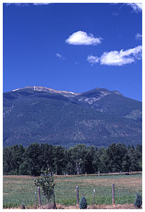 site image