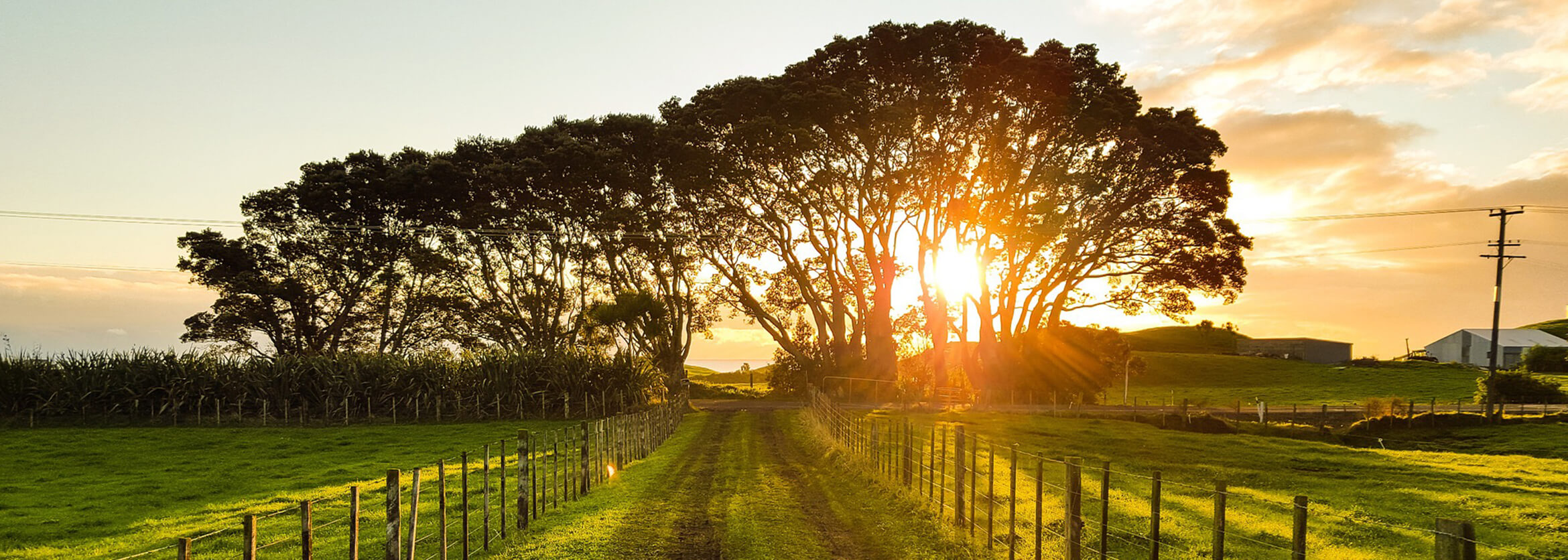 William F. Young Funeral Home West Sunbury PA funeral home and cremation