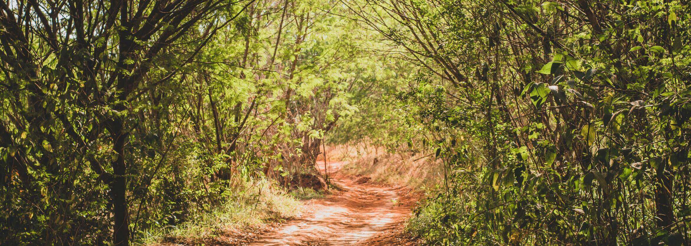 William F. Young Funeral Home West Sunbury PA funeral home and cremation