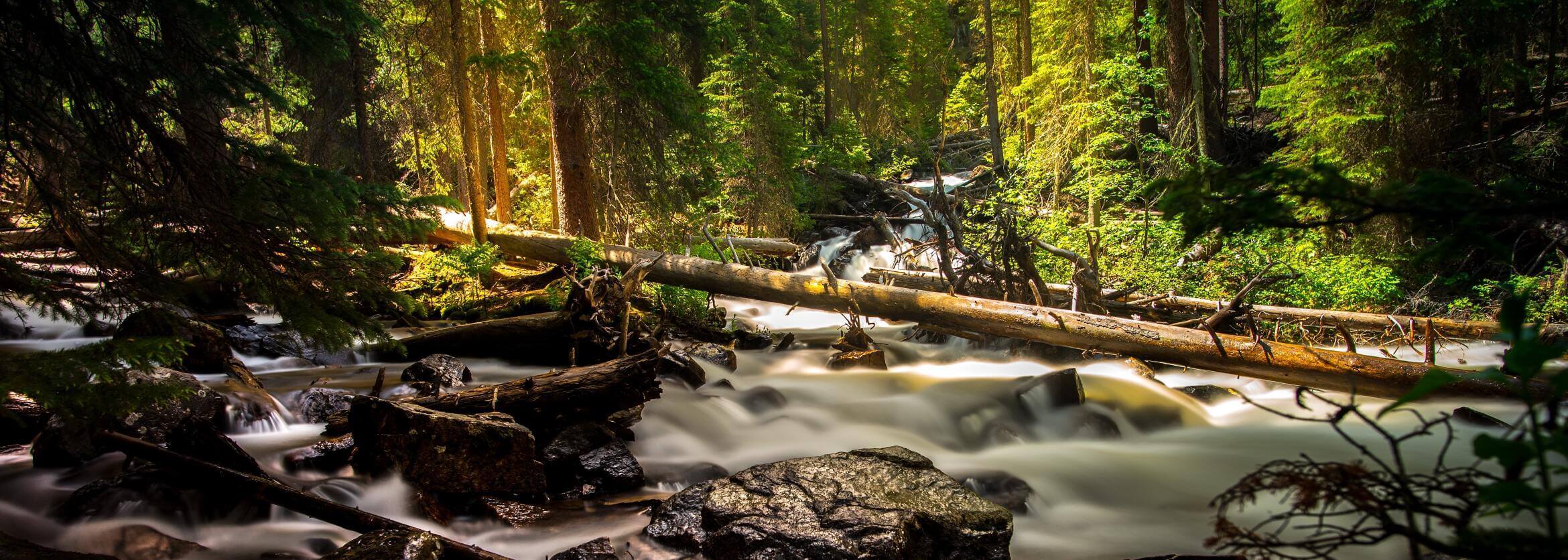 William F. Young Funeral Home West Sunbury PA funeral home and cremation