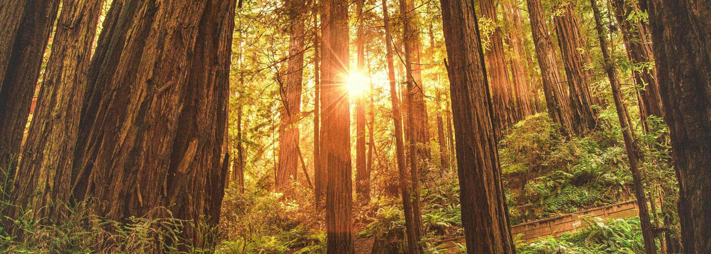 William F. Young Funeral Home West Sunbury PA funeral home and cremation