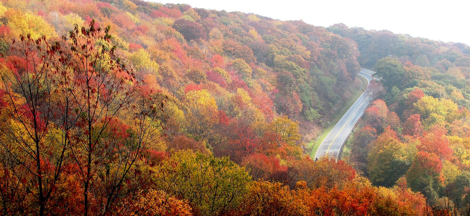 Whitfield Mortuary, LLC Kinston NC funeral home and cremation