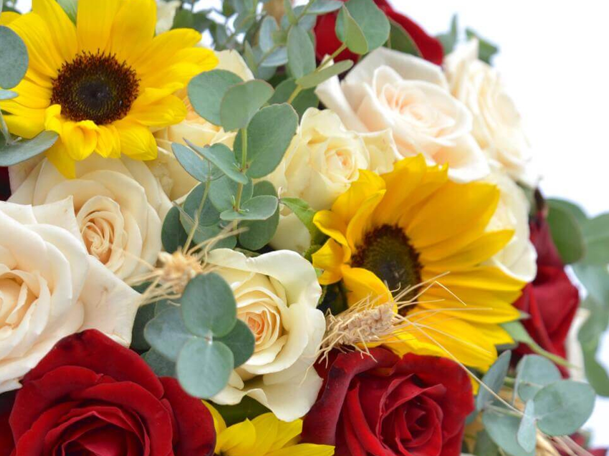 Willis Funeral Service Batesville AR funeral home and cremation