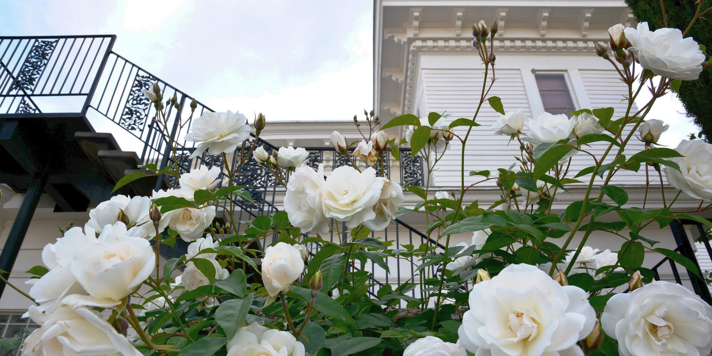 Wildrose Chapel & Funeral Home Fresno CA funeral home and cremation