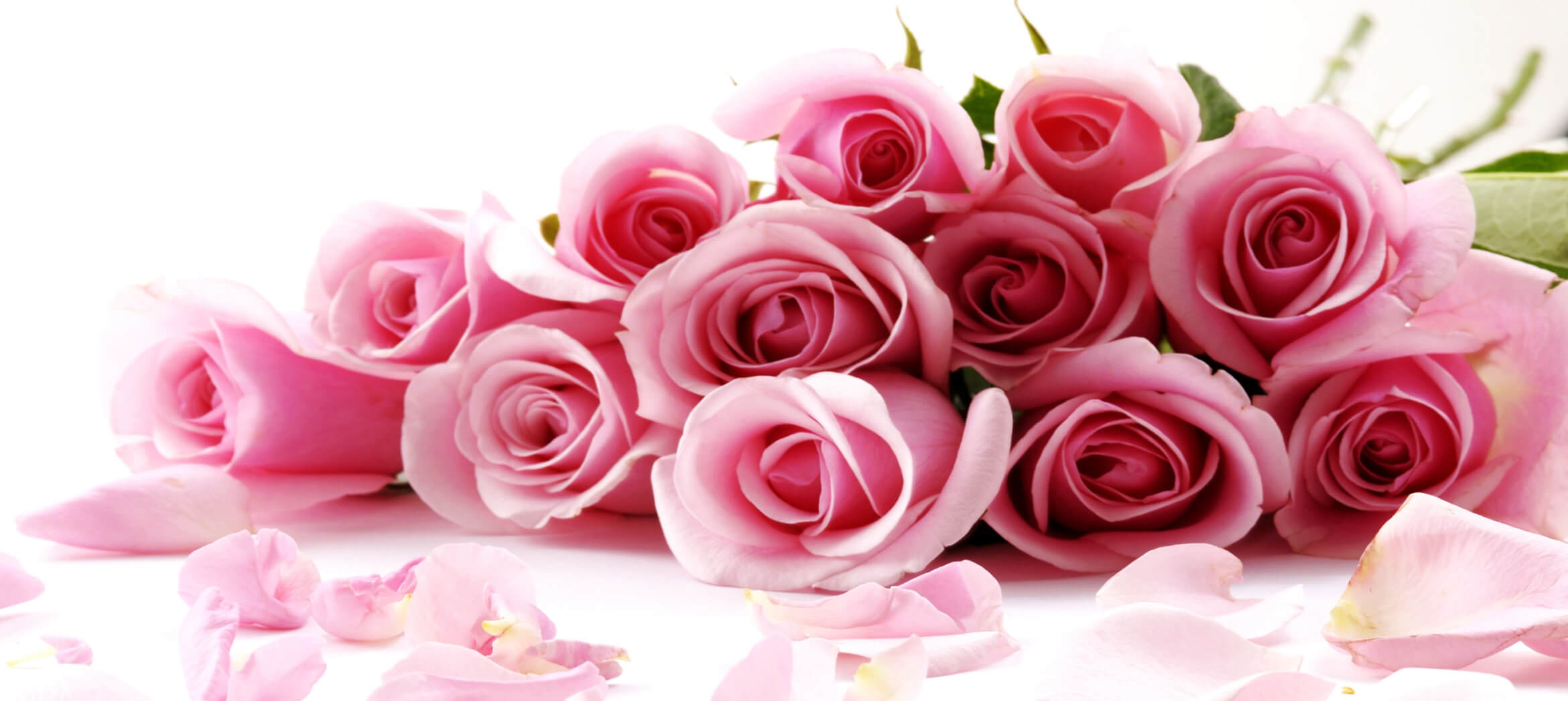 Wildrose Chapel & Funeral Home Fresno CA funeral home and cremation