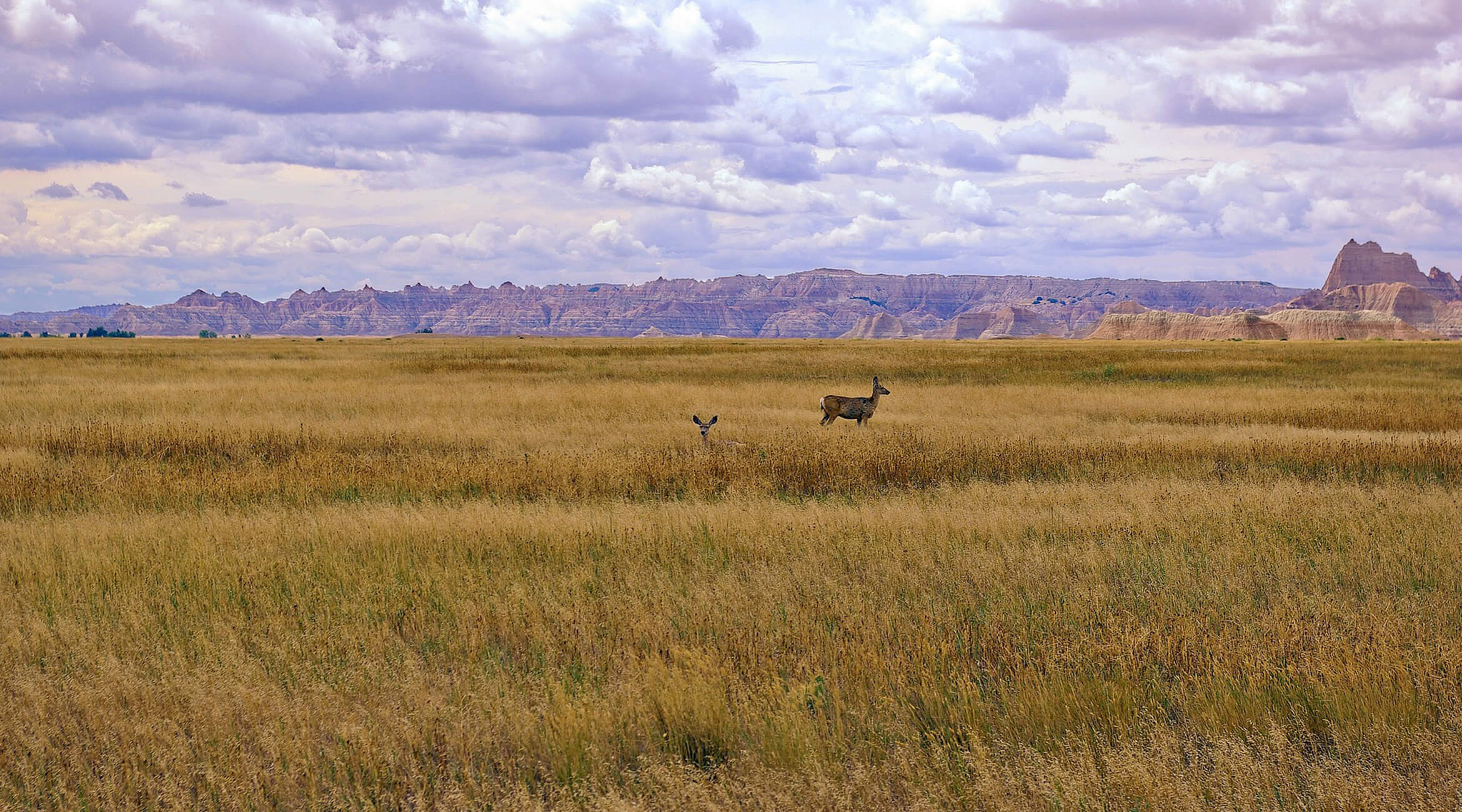 West River Funeral Directors LLC Rapid City SD funeral home and cremation