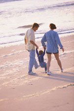 site image
