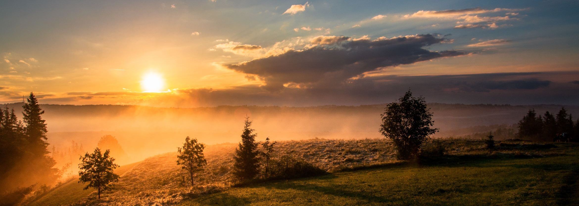 williams funeral home parksley va