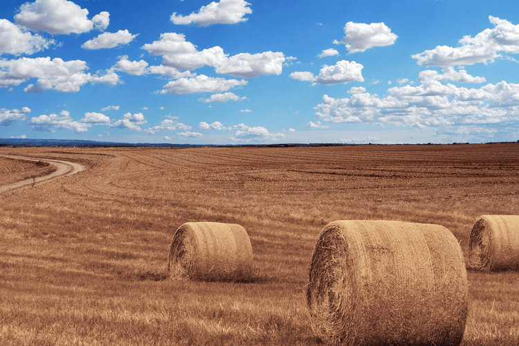 Carney Funeral Home Blytheville AR funeral home and cremation