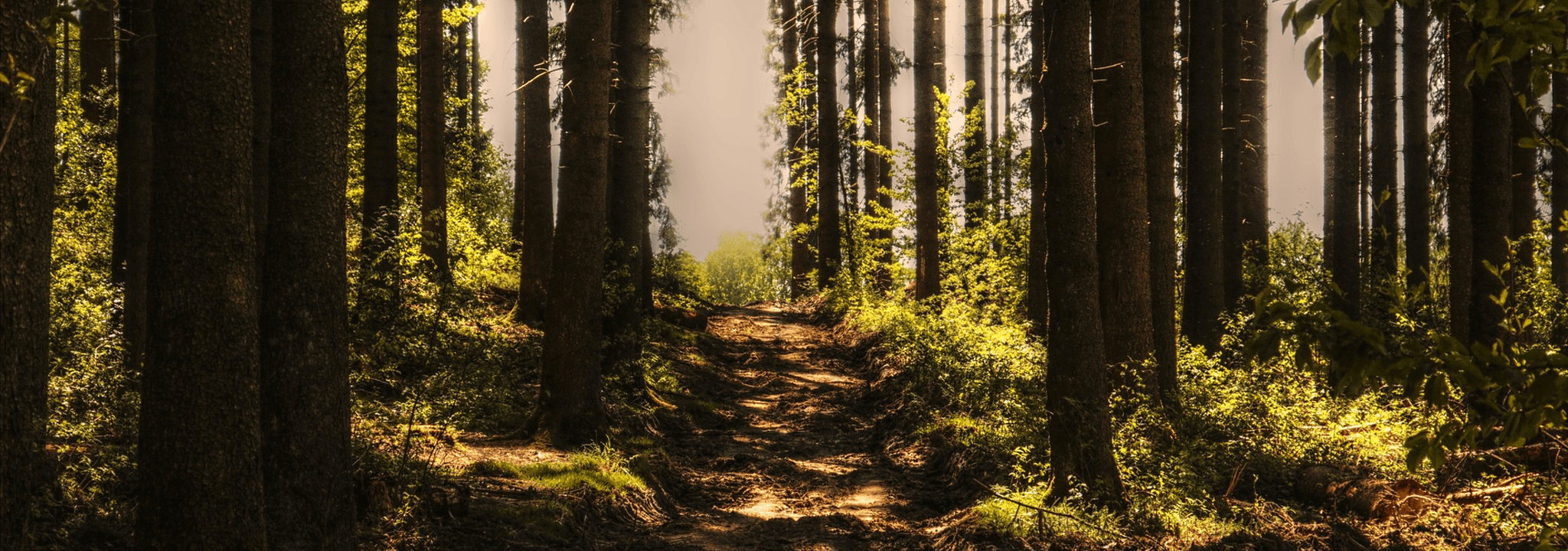 Stinson Funeral Home South Porcupine ON funeral home and cremation