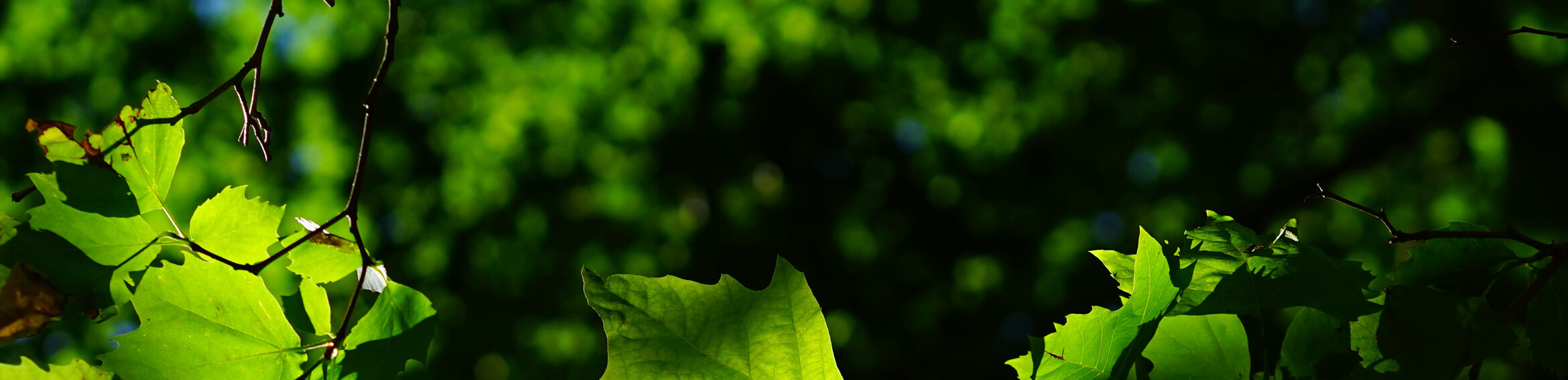 Location Eberle Fisher Funeral Home & Crematory London OH funeral