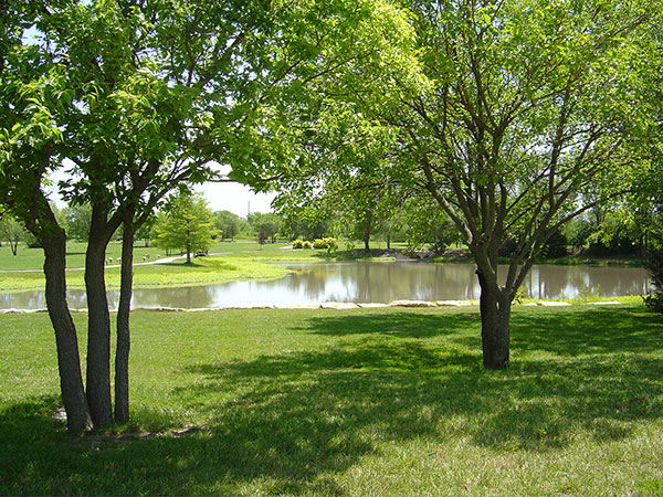 site image