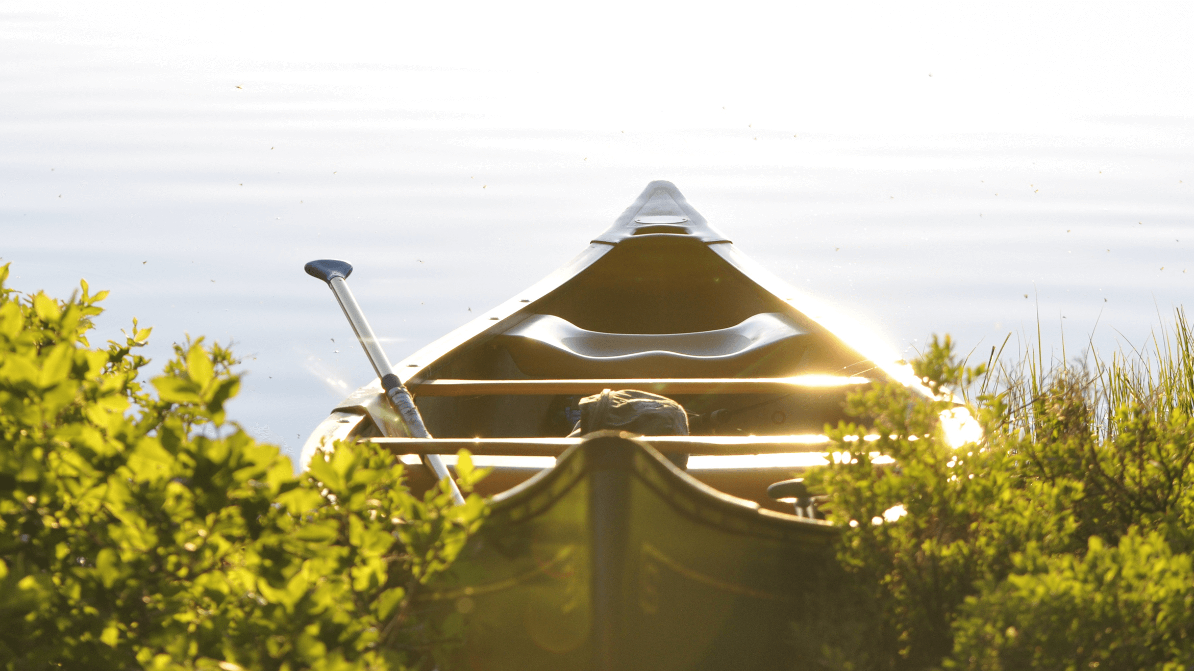 Finch Funeral & Crematory Mount Morris IL funeral home and cremation