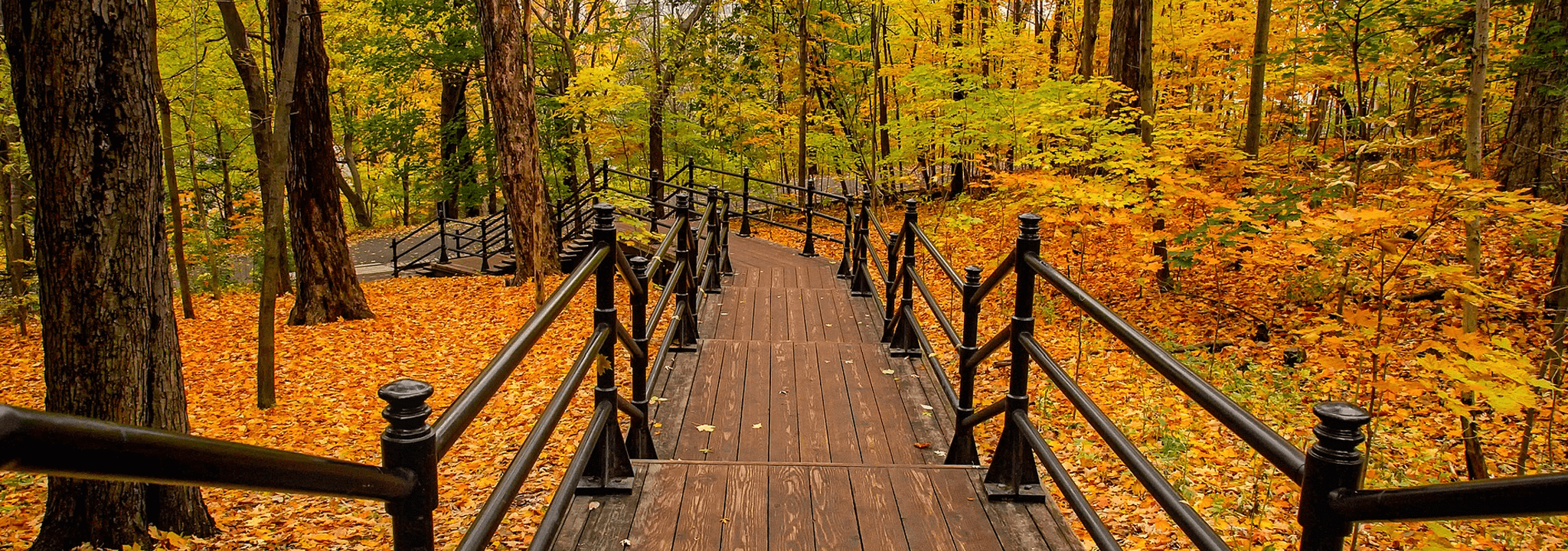 Stinson Funeral Home South Porcupine ON funeral home and cremation