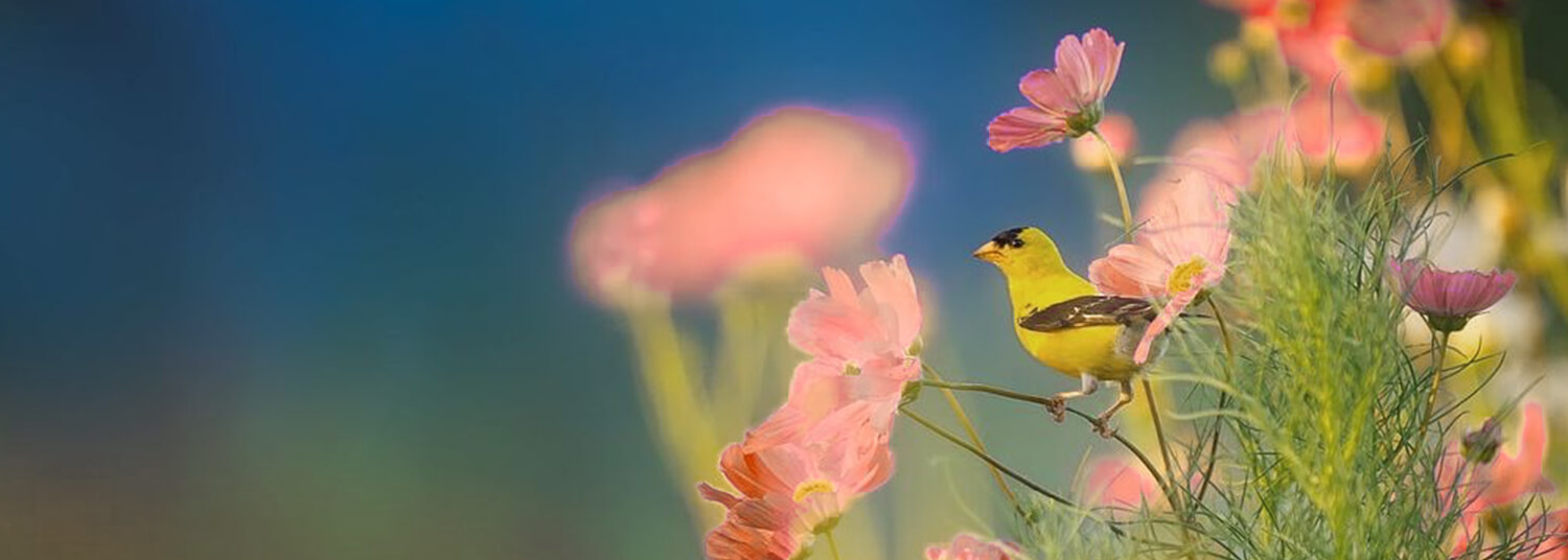 Hansen Mortuary Rupert ID funeral home and cremation