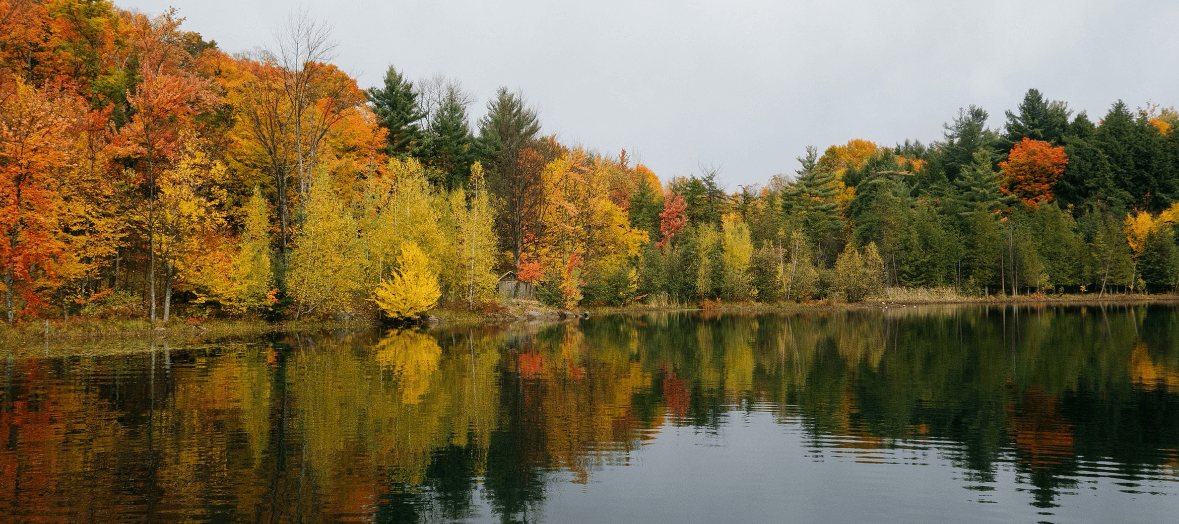 AbsherNicholson Funeral Home Carrier Mills IL Funeral Home and Cremation Service