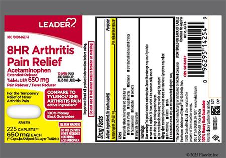 Leader 8HR Arthritis Pain Relief 650mg Extended-Release Caplet package photo