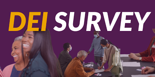 DEI Survey
