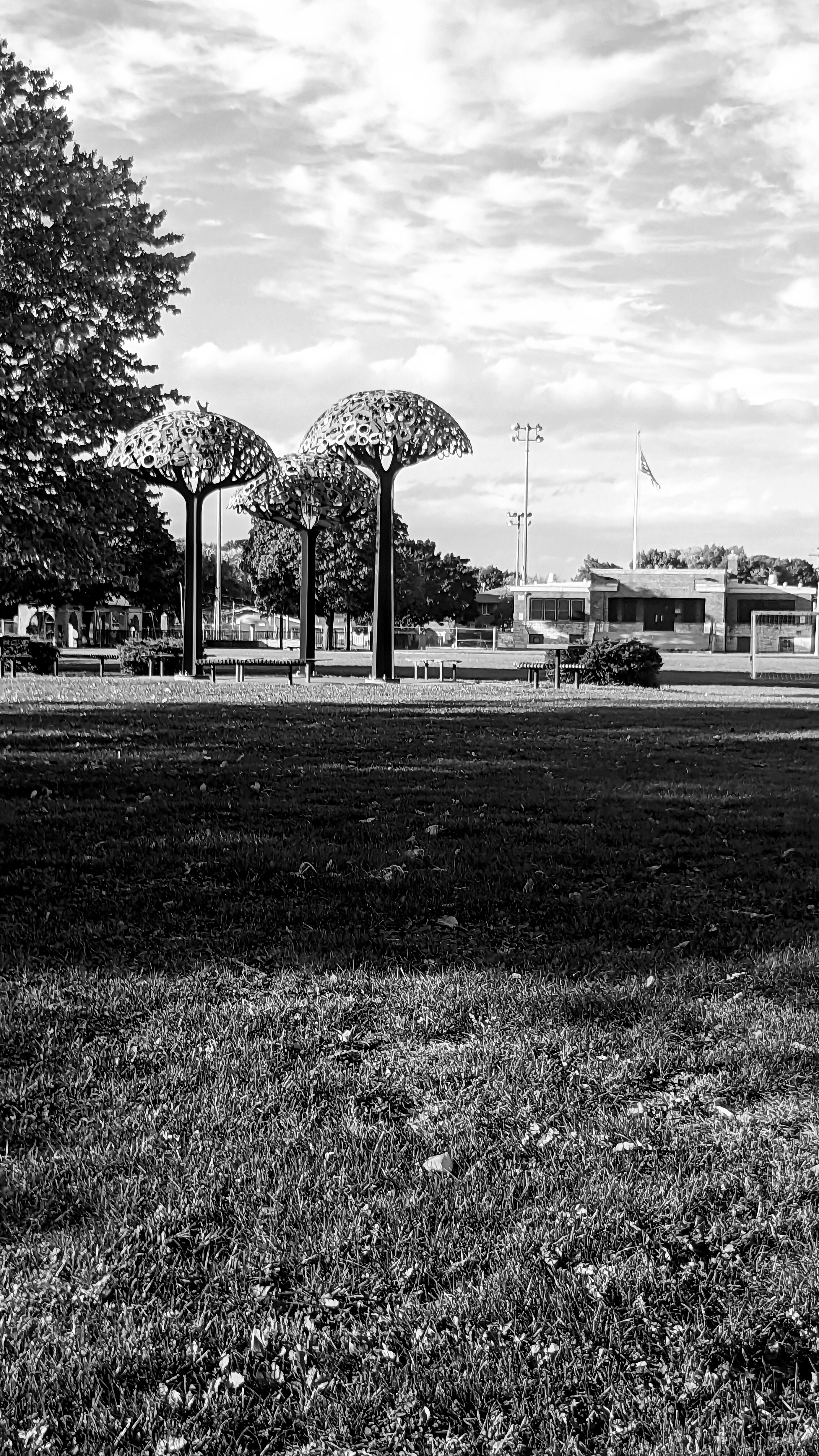 Enderis Park Bathroom Accessibility Walk/Roll Events League of