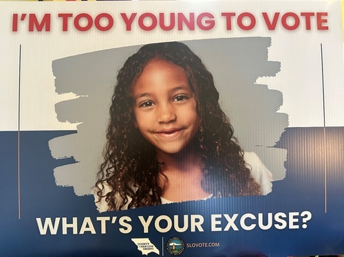 2026 Election Yard Sign Image