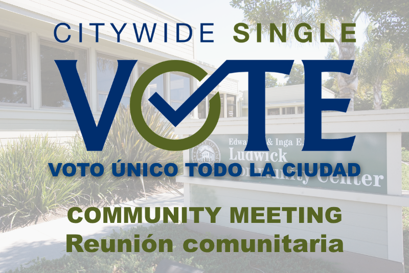 Citywide Single Vote