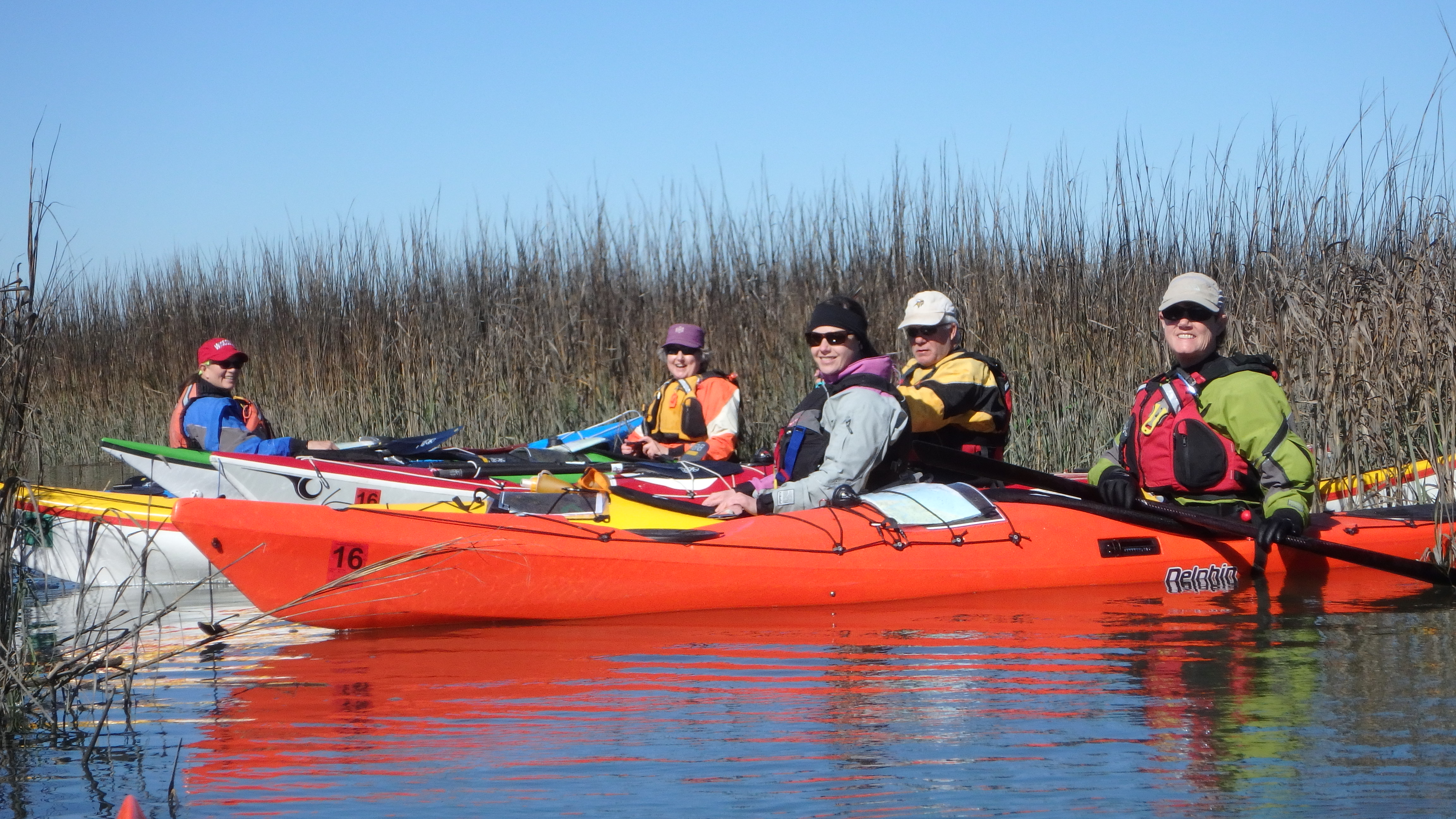 Tybee Marsh Paddle