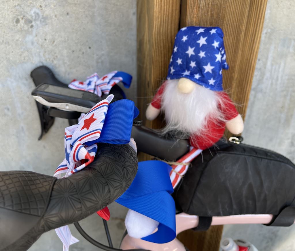 Larry Robinson posted a Red,White and Blue Ride, 12 miles 
