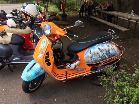 One of our members takes us for a spin to the Central Coast, all 24 of us... 