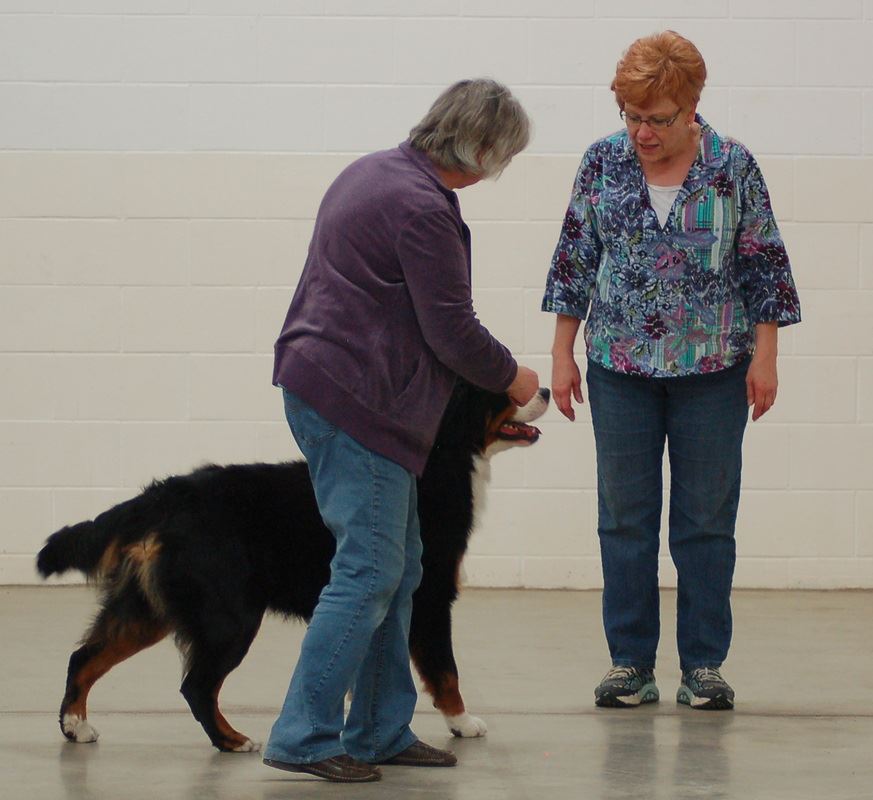 Photo Albums Bismarck Kennel Club
